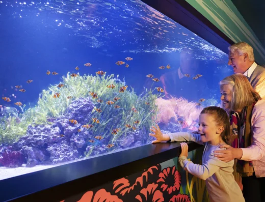 10714 sealife day21061 fin v5 crop lo res