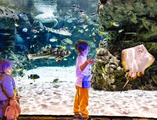 11 20240126 jc1 1127 enhanced nr