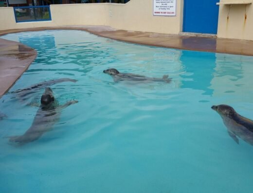 20160613 153146 largejpg