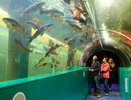 3a9adaee 8911 4322 ae31 7ed897bcb850