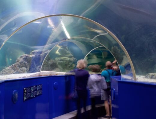 3e142b48 71b9 41af 99cd 471f52f85214