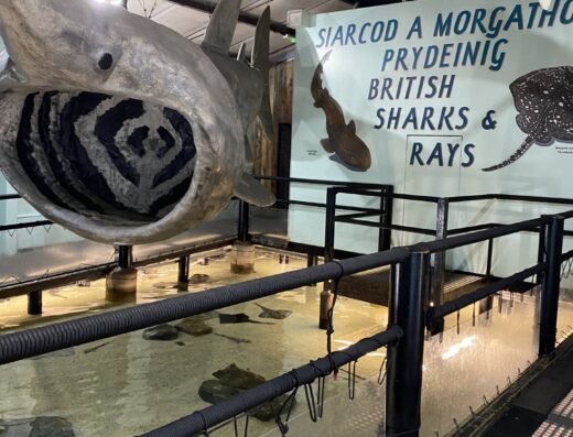 602922865 1253691123470963 5340481692953436852 n