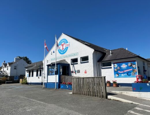 605675530 1263754629131279 5960663339829736781 n