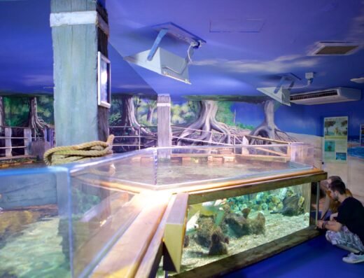 919a19ff b686 4722 8ed9 7b0b70c0fba8