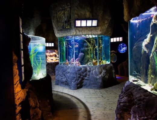 Blue Reef Newquay Tanks