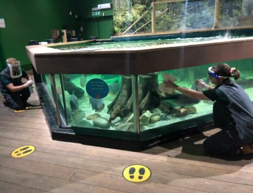 Image 2 Staff PPE 1024x768