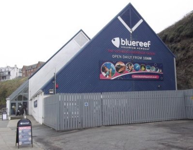 The Blue Reef at Newquay BR3[1]