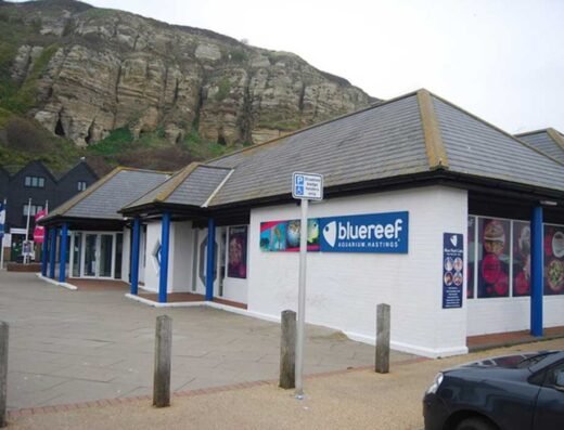 blue reef aquarium hastings geograph