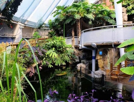 bristol aquarium tank 2