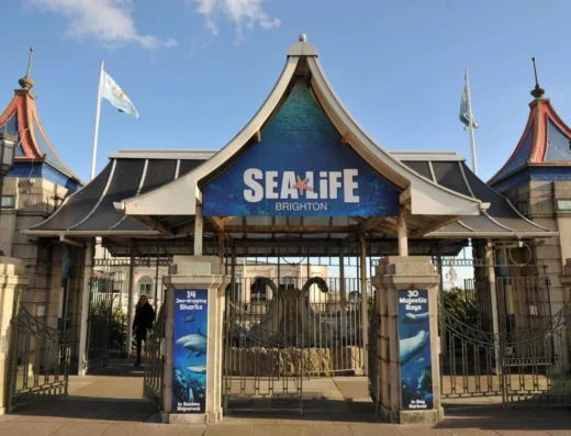 sea life centre 608924