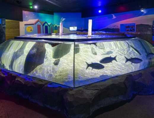 sea life hunstanton 2025 155