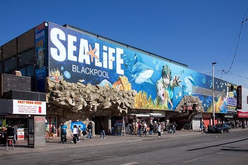 sealifecentre