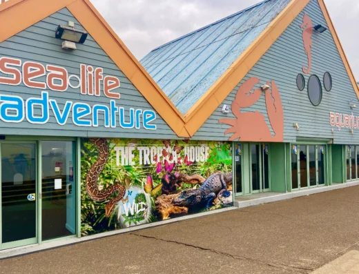 visiting sealife adventure