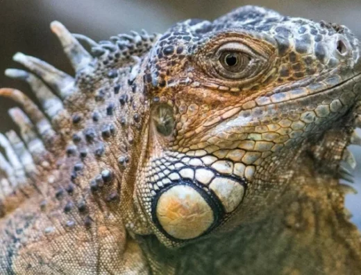 15391381 1825542691060120 5104780993228539261 o 768x432