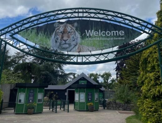 77456990 452c 11ef 9e1c 3b4a473456a6