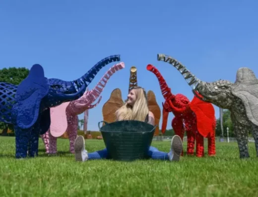 DSC 2876 copy resized 1024x555 1 768x416