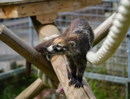 bpcz lowerres 03086 1 768x576