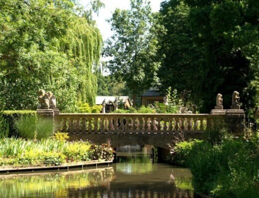 dsc 0896 largejpg 768x513