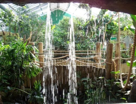 gorgeous waterfall adds 768x576